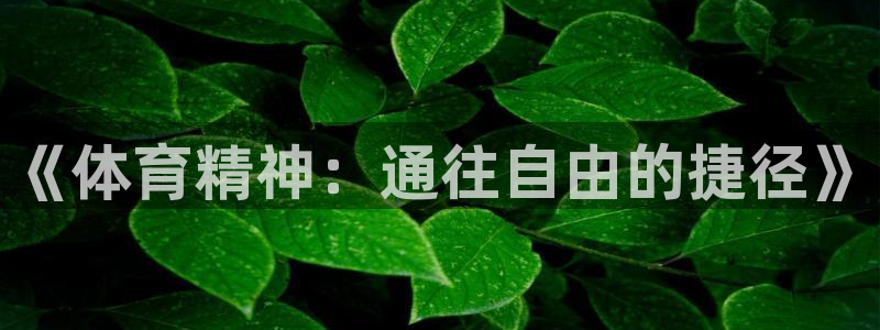 球派体育app下载官网：《体育精神：通往自由的捷径》