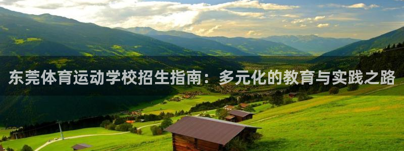 球派体育app下载官网：东莞体育运动学校招生指南：多元化的教育与实践之路