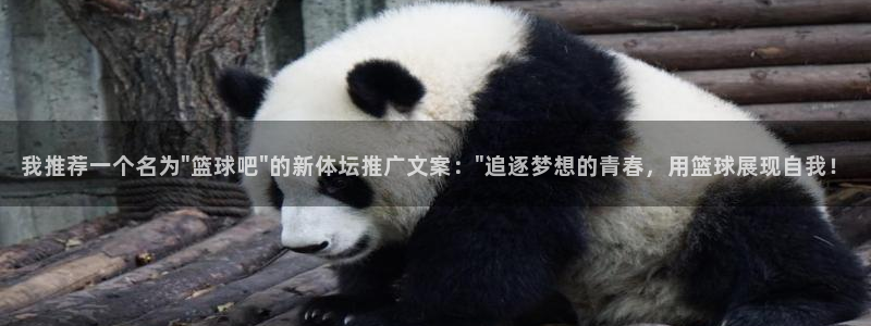 球派体育免费吗：我推荐一个名为\