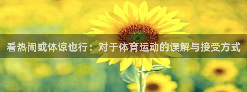 下载球派体育：看热闹或体谅也行：对于体育运动的误解与接受方式