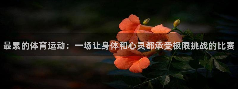 球派体育官方免费下载手机版：最累的体育运动：一场让身体和心灵都承受极限挑战的比赛