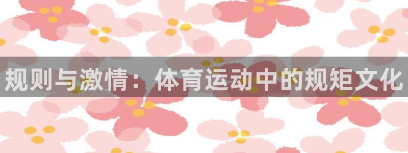 球派体育app旧版本：规则与激情：体育运动中的规矩文化