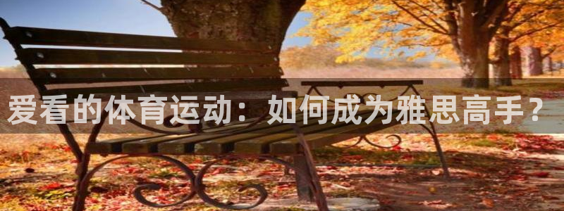 球派体育官网下载：爱看的体育运动：如何成为雅思高手？