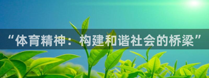 球派体育软件下载：“体育精神：构建和谐社会的桥梁”